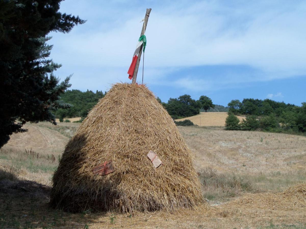 B&B Casa Cuccagna Fratte Rosa Εξωτερικό φωτογραφία